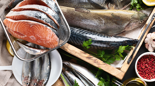 海と都が出逢うまち、敦賀01