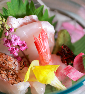 海と都が出逢うまち、敦賀04